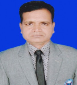 S. M Rofiqul Islam S. M Rofiqul Islam